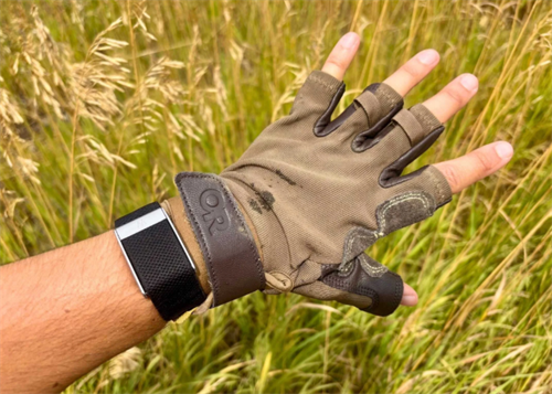 Fingerless climbing glove worn in a grassy alpine environment, balancing dexterity and protection for early morning hiking