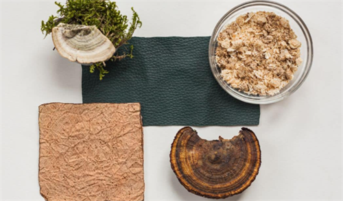 Mycelium leather material swatches and natural fungi samples, illustrating mushroom-derived materials used in hiking gear production