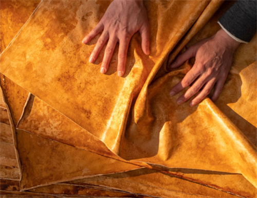 Artisan handling large sheets of mycelium leather, demonstrating the texture and flexibility of mushroom-derived materials for hiking equipment