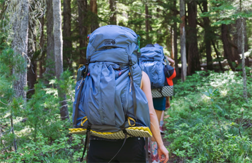 Backpackers hiking through a forest trail, a scenario where a smartwatch’s navigation features might be used instead of a mountain guide