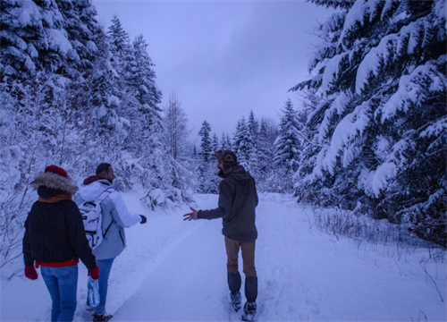 Group of hikers trekking through a snow-covered winter trail in Bieszczady, Poland’s eastern wilderness