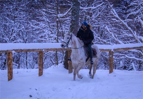 Horseback riding through a snow-covered winter forest in Bieszczady, Poland’s remote eastern wilderness