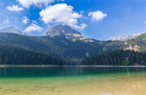 Crystal-clear glacial Black Lake surrounded by pine forests and peaks in Durmitor National Park, Montenegro
