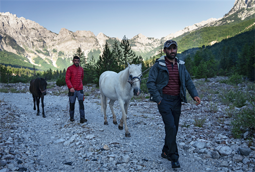 Local Albanian herders with horses walking along a dry riverbed in the Accursed Mountains, Valbona–Theth trail